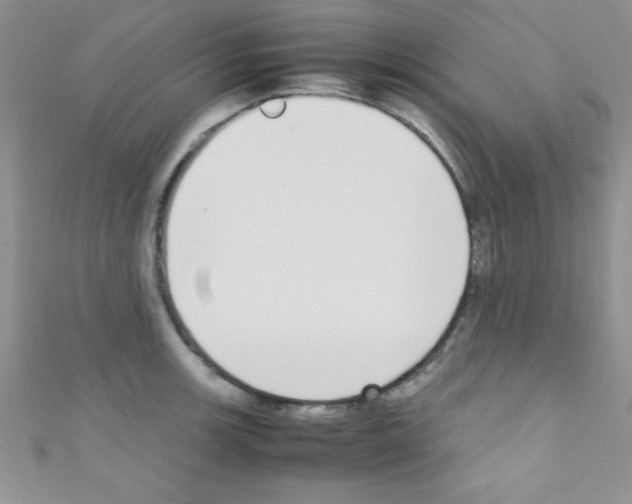 X0000110731139200907241222