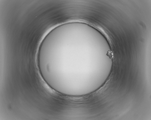 X0000110731140200907241222