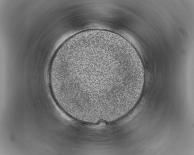 X0000110731141200907241222