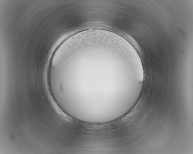 X0000110731144200907241222