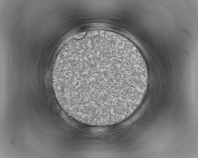 X0000110731145200907241222