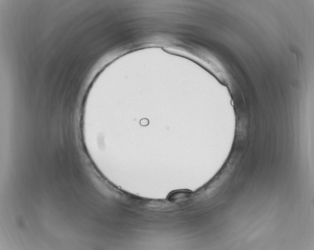X0000110731146200907241222