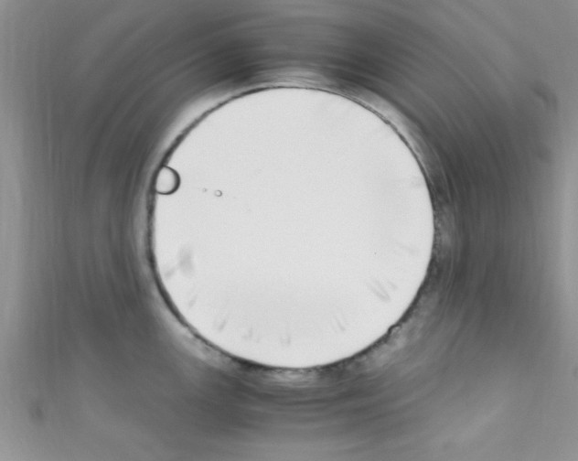 X0000110731147200907241222