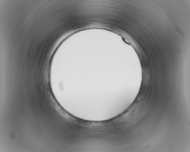 X0000110731148200907241222