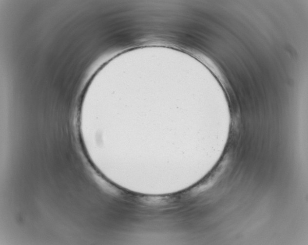 X0000110731149200907241222