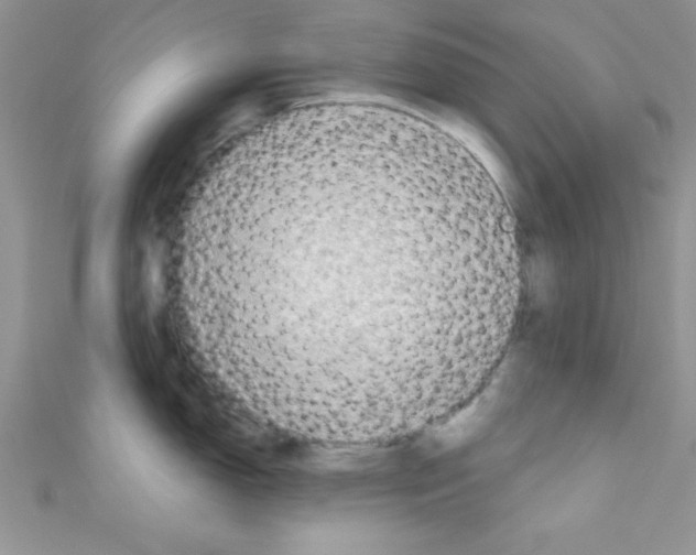 X0000110731150200907241222