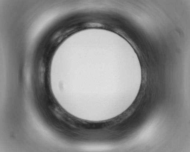 X0000110731151200907241222
