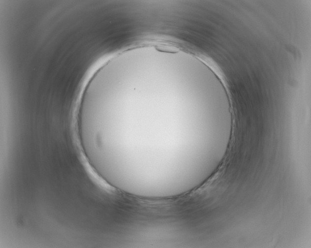 X0000110731152200907241222