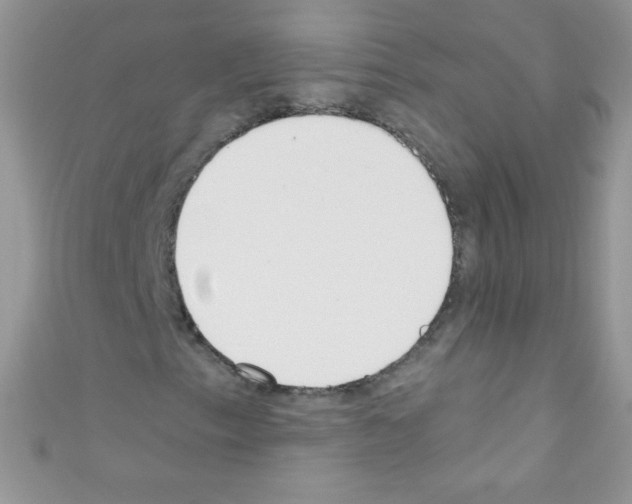 X0000110731153200907241222