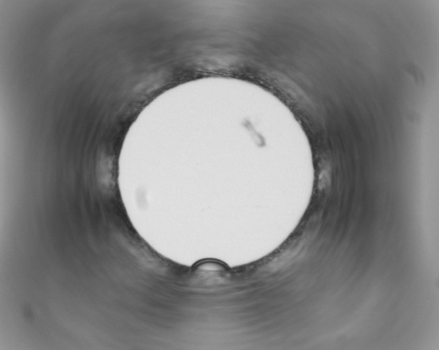 X0000110731156200907241222