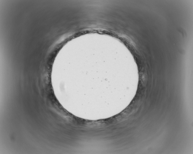 X0000110731159200907241222