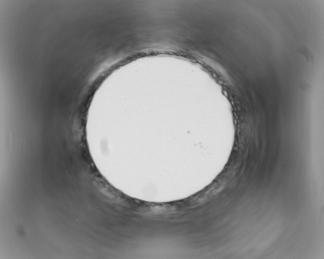 X0000110731160200907241221