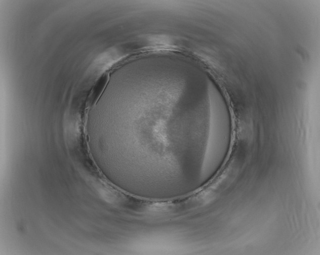 X0000110731161200907241221