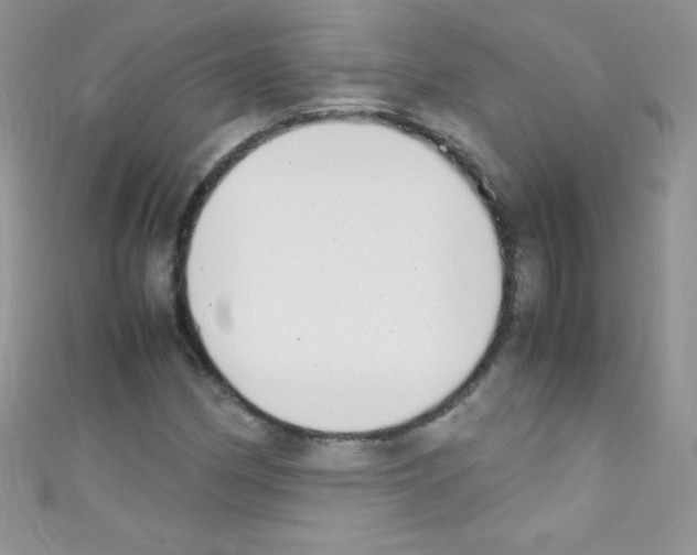 X0000110731162200907241221