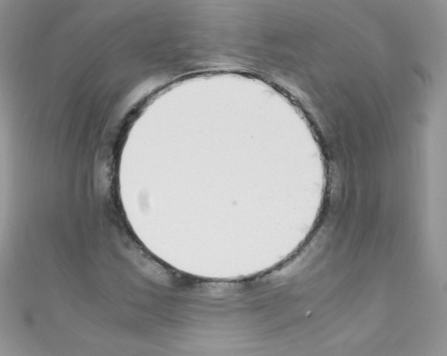 X0000110731163200907241221