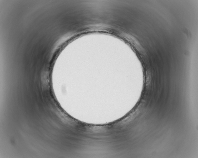 X0000110731164200907241221