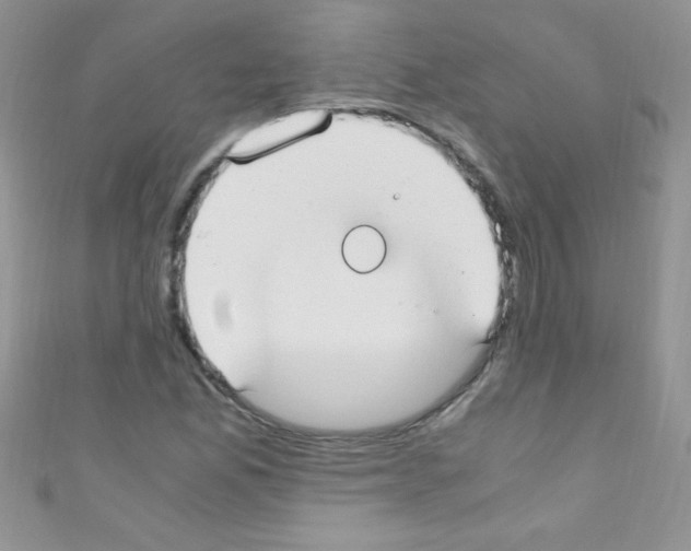 X0000110731165200907241221