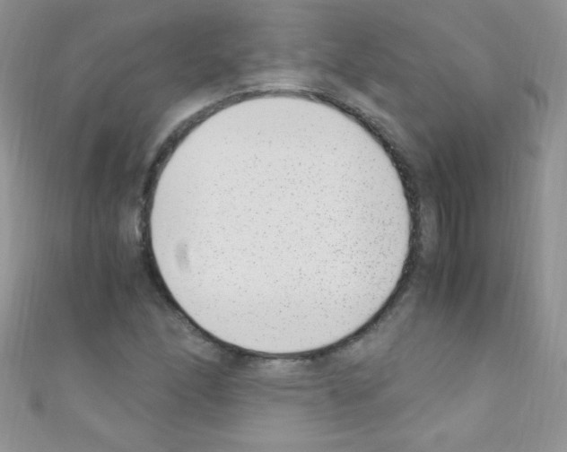 X0000110731166200907241221