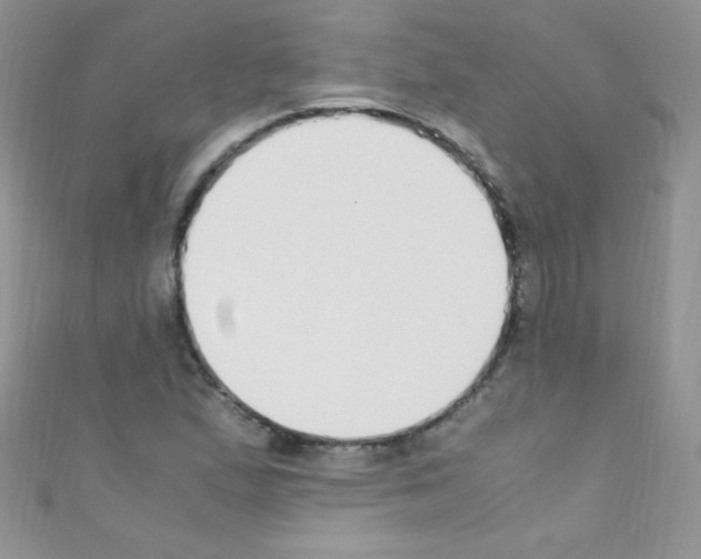 X0000110731167200907241221