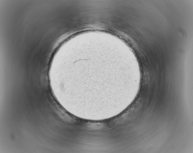 X0000110731168200907241221