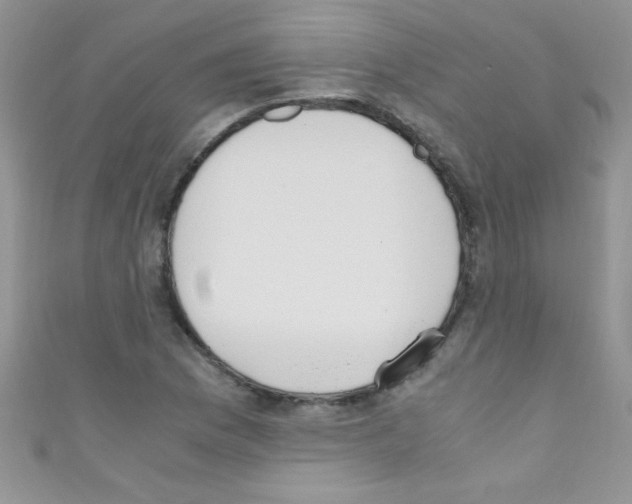 X0000110731169200907241221