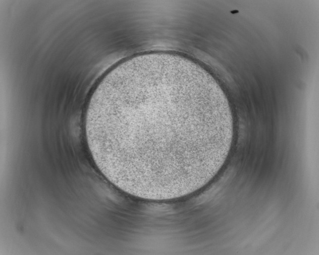 X0000110731170200907241221