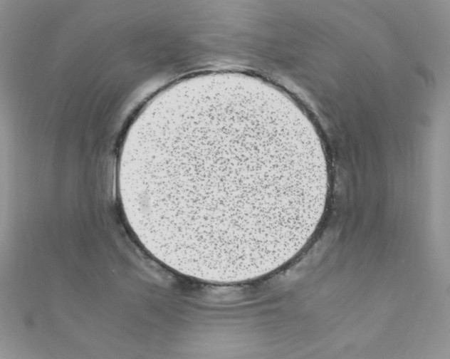 X0000110731171200907241221