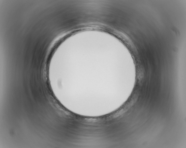 X0000110731172200907241221