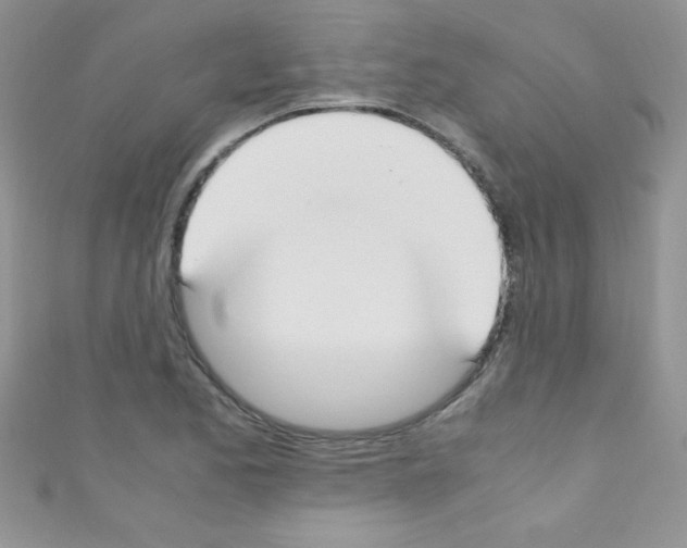 X0000110731173200907241221