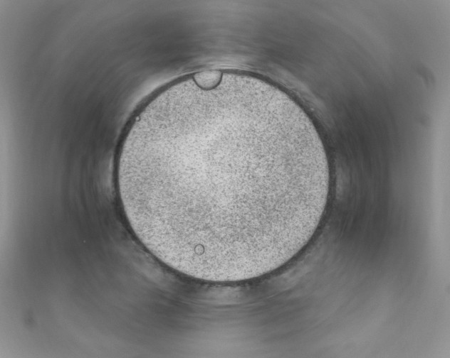 X0000110731174200907241221