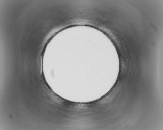 X0000110731175200907241221