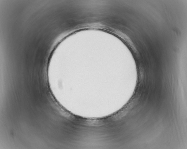 X0000110731176200907241221