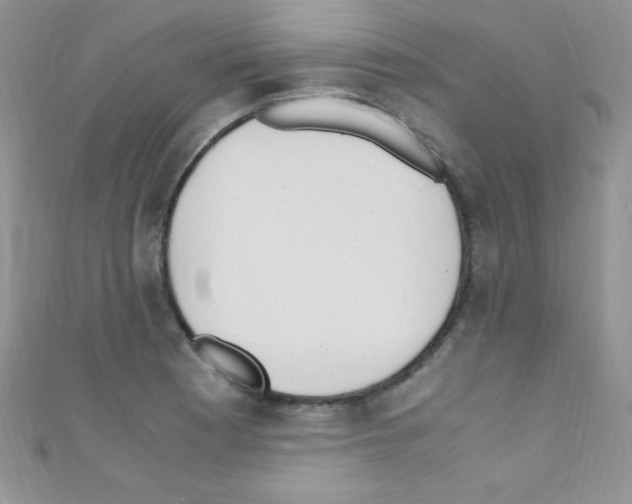 X0000110731177200907241221