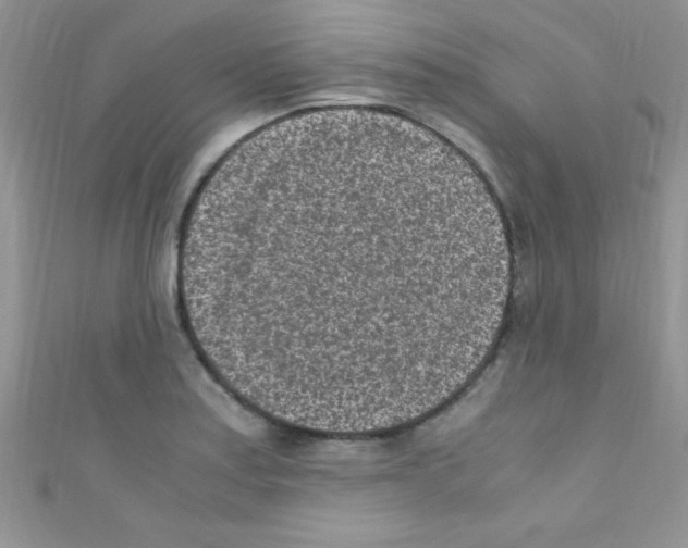 X0000110731179200907241221