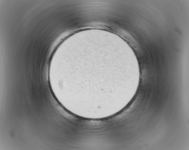 X0000110731180200907241221