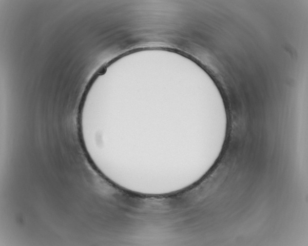 X0000110731181200907241221