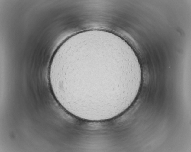 X0000110731182200907241221
