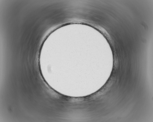 X0000110731183200907241221