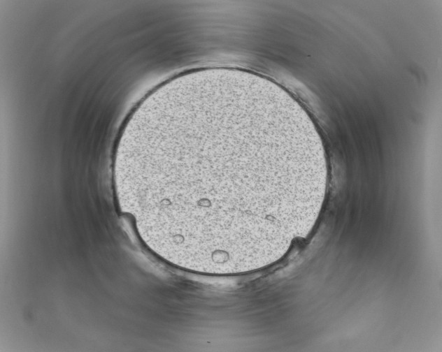 X0000110731184200907241221