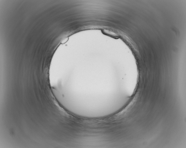 X0000110731185200907241221