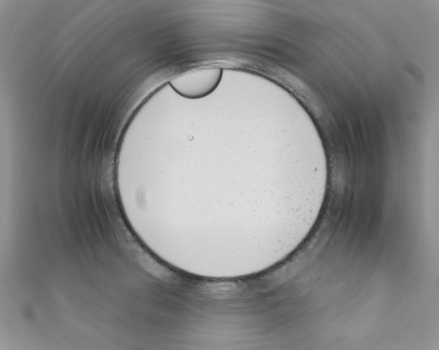 X0000110731186200907241221