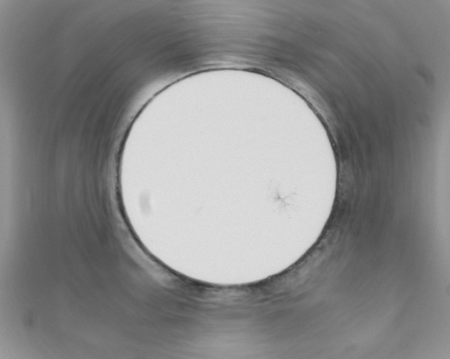 X0000110731187200907241221