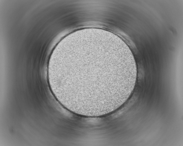 X0000110731188200907241221