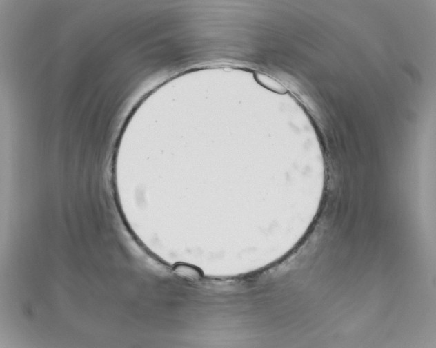 X0000110731189200907241221