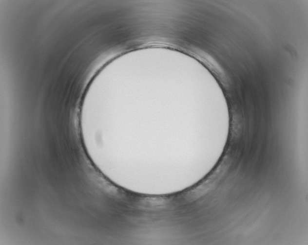 X0000110731190200907241221