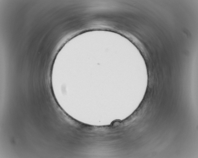 X0000110731191200907241221
