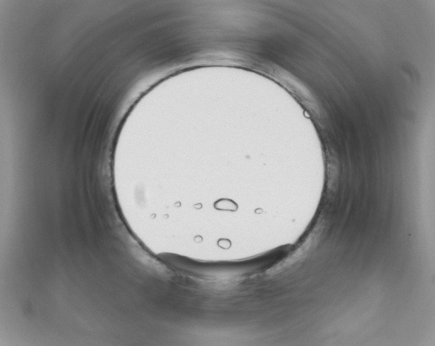 X0000110731192200907241221