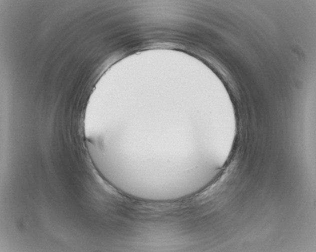 X0000110731193200907241221