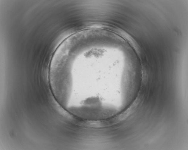 X0000110731194200907241221