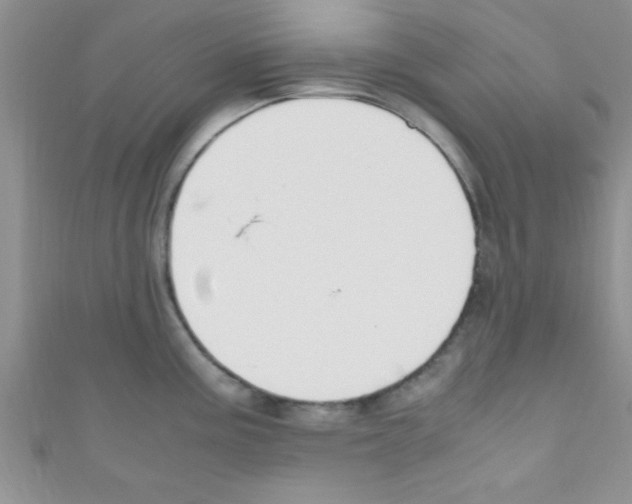 X0000110731195200907241221